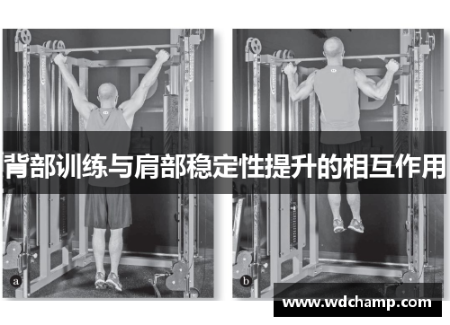 背部训练与肩部稳定性提升的相互作用